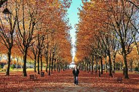 L Automne En Picardie My Sweet Escape Blog Voyage Automne Oise Saint Quentin