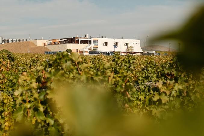 Idei de călătorie la crame: Dealu Mare - Winesday. For the love of wine | by Carmina Nițescu