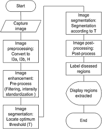 An Image Processing Based Algorithm To Automatically