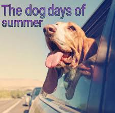 Jul 02, 2020 · the term evolved to mean the 20 days before and after july 23rd, or july 3 to august 11, to coincide with sirius aligning with the sun. The Dog Days Of Summer Grammar Stammer