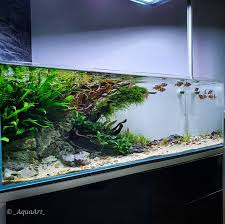 Pin By Cyan On Aquarium In 2020 Tank Design Aquarium Design