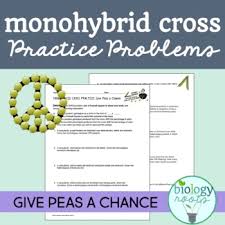 .ideas as follows dihybrid cross worksheet answers, monohybrid cross worksheet answer key and dihybrid cross worksheet answers. Freebie Monohybrid Cross Practice Problems Supports Distance Learning