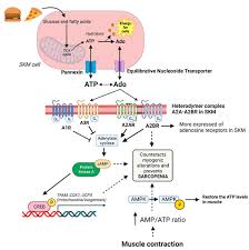 Image result for Beige 1972 Caloric