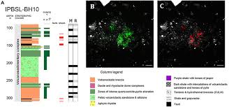 There is a huge difference in concentration between an ore and a refined metal or that metal in native form. Frontiers Visualizing Microorganism Mineral Interaction In The Iberian Pyrite Belt Subsurface The Acidovorax Case Microbiology