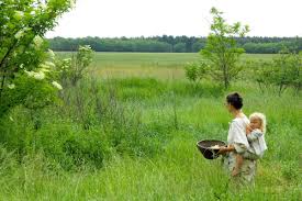 We did not find results for: 5 Compelling Reasons To Turn Your Lawn Into A Meadow Insteading