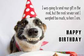 We have searched the net for a wide range of images so that you can choose one of them. Best Happy Birthday Dog Meme Greeting Cards Images