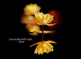 Perfect happy birthday messages for your friends, family, lover, colleagues or anyone you care. Rumi Love Poems And Quotes Quotesgram