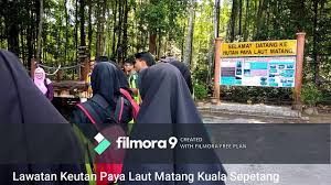 Hutan paya bakau adalah sempadan antara daratan dan lautan. Pusat Eko Pelajaran Hutan Paya Laut Matang Youtube