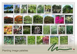 Mauritian Planting Palette Landscaping Plants Landscape Design Garden Plants