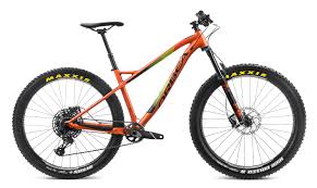 Image result for Orbea knobelii