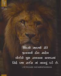 Image May Contain Text Feelings Gujarati Quotes Special Quotes
