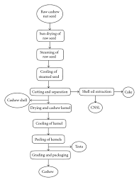 Flow Chart Of Cashew Nut Processing In Small Scale