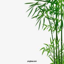 Cartoon Bamboo Png And Psd Bamboo Background Fruits Drawing Tape Wall Art