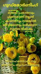 Good morning malayalam quotes for lover is very useful for share many quotes to all social medias. Greetings Meaningful Good Morning Quotes In Malayalam Meanongs