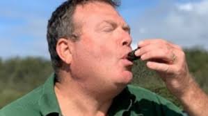 Embattled CEO of Greyhound Racing NSW resigns