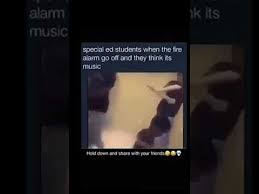 Hahahahah im special ed • • • memes dankmemes harambe fnaf rickharrison dank spongebob mermaidmanandbarnacleboy instagood. Offensive Meme Youtube