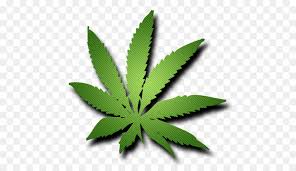 It is very popular to decorate the background of mac, windows, desktop or android device beautifully. 32 Gambar Daun Ganjah Keren Cari Gambar Keren Hd