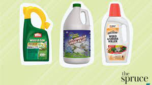 Keep your family healthy and happy with pest control service from arizona's best weed and pest.… The 8 Best Weed Killers Of 2021