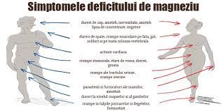 Sunt foarte multi medici care sustin ca aceste caderi de calciu se produc foarte rar si ca toate aceste simptome. Calciul Si Magneziul Doua Minerale Vitale Pentru Sanatate De Prin Lume Adunate