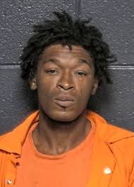 2 arrested after multi-agency pursuit, 4-mile K-9 track