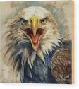 The Fierce Eagle Wood Print by Tina LeCour - Tina LeCour - Website