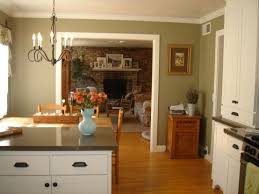 Kitchen After This Is The Best Green Paint Benjamin Moore Dry Sagel Don T Let The Name Scare You Cottage Kitchen Green Kitchen Paint Paint For Kitchen Walls