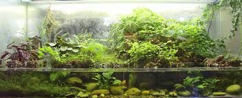 Google Image Result For Http Www Paludariums Net Img Paludarium2 Jpg Aquascape Aquarium Planted Aquarium Aquascape