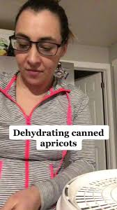 Making work snacks!! #apricots #dryingfruit #dryingfruitsathome  #dehydrating #dehydratedfruit #cannedapricots #preservingfood  #preservingfruit #foodstorageideas #emergencyfoodstorage #carsnacks
