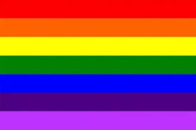 Like the other pride flags each colored stripe has a different meaning; Guide To 72 Lgbtq Pride Flags Outburo