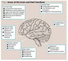 Some of the signs and symptoms of a stroke may include sudden difficulty speaking or understanding speech, confusion, and numbness or weakness in the face or limbs (especially on one side of the body). Stroke 1 Definition Burden Risk Factors And Diagnosis Nursing Times