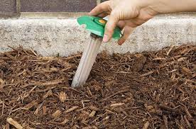 While there are common household items as well as garden plants that possess insecticidal and repellent properties, experts claim that there is no effective homemade termite repellent. The Best Termite Treatment For Pest Control Bob Vila