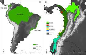 Lonely planet's guide to colombia. Geospatial Modeling Of Land Cover Change In The Choco Darien Global Ecoregion Of South America One Of Most Biodiverse And Rainy Areas In The World