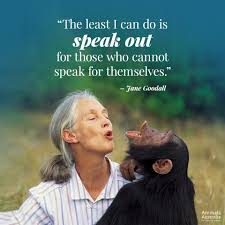 I Think This Quote Embodies Everything I Am About And Everything I Respect In A Person Regardless Of Gender Dr Jane Goodall Quotes Quotes Australia Animals