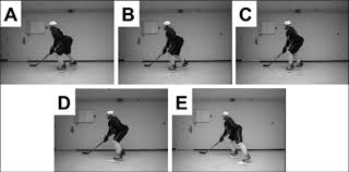 This move allows an ice skater to move about the corners of the rink seamlessly. Backward Ice Hockey Skating Alternating Legs Backward Stride Download Scientific Diagram