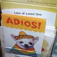 Adios Means To God In Spanish So This Would Be Normal In A Situation Of Such Sorts Stupid Funny Stupid Funny Memes Memes