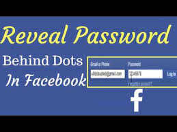 How To Check Your Facebook Password Youtube