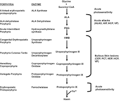 Update Review Of The Acute Porphyrias Stein 2017