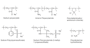 properties of polyelectrolytes