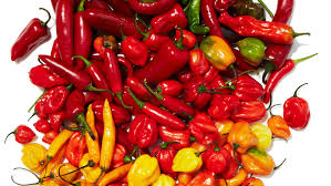A long, narrow country, it extends approximately 2,700 miles and has an average width of just 110 miles. Your Blazing Hot Guide To Cooking With Fresh Chiles Bon Appetit