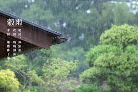 穀雨 is the time of a year when it rains and moisten grains in fields. X ç©€é›¨ 2020 4 19