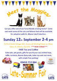 Cats Protection St Albans Branch Home Facebook