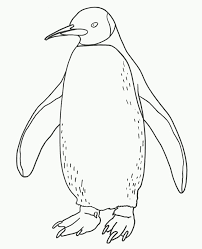 With quinn lord, claire margaret corlett, ellen kennedy, john payne. Free Printable Penguin Coloring Pages For Kids Penguin Coloring Penguin Coloring Pages Animal Coloring Pages