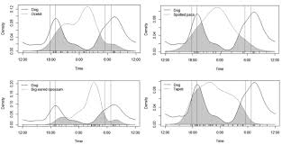Temporal Activity Of Rural Free Ranging Dogs Implications For The Predator And Prey Species In The Brazilian Atlantic Forest Custom kernel untuk redmi note 7. brazilian atlantic forest