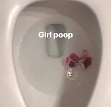 Girl poop : rThat_Indian_Geek