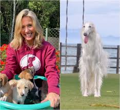 She was born in 1970s, in generation x. Luisa Mell Viraliza Na Internet Com Bomba Sobre Acusacao De Roubo De Cachorro Entenda Nd