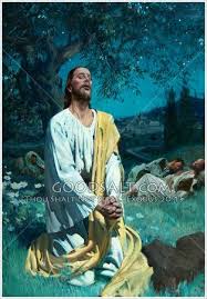 Christ Prays In Gethsemane Jesus Art Jesus Jesus Pictures