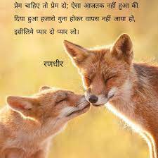 Randhir Zala Cute Animals Cute Animal Quotes Cute Baby Animals