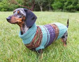 My colors here are dove heather, paprika, and avocado. Knitting Pattern Scrap Yarn Cowl Neck Mini Dachshund Dog Sweater Dog Dachshund Doxie Wiener Dog Dachshund Dog Sweaters Dachshund Sweater Dachshund Dog