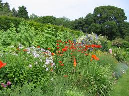 Maybe you would like to learn more about one of these? Cottage Garden Wikiwand