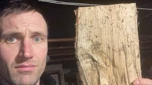 Jason Wilding's Instagram, Twitter & Facebook